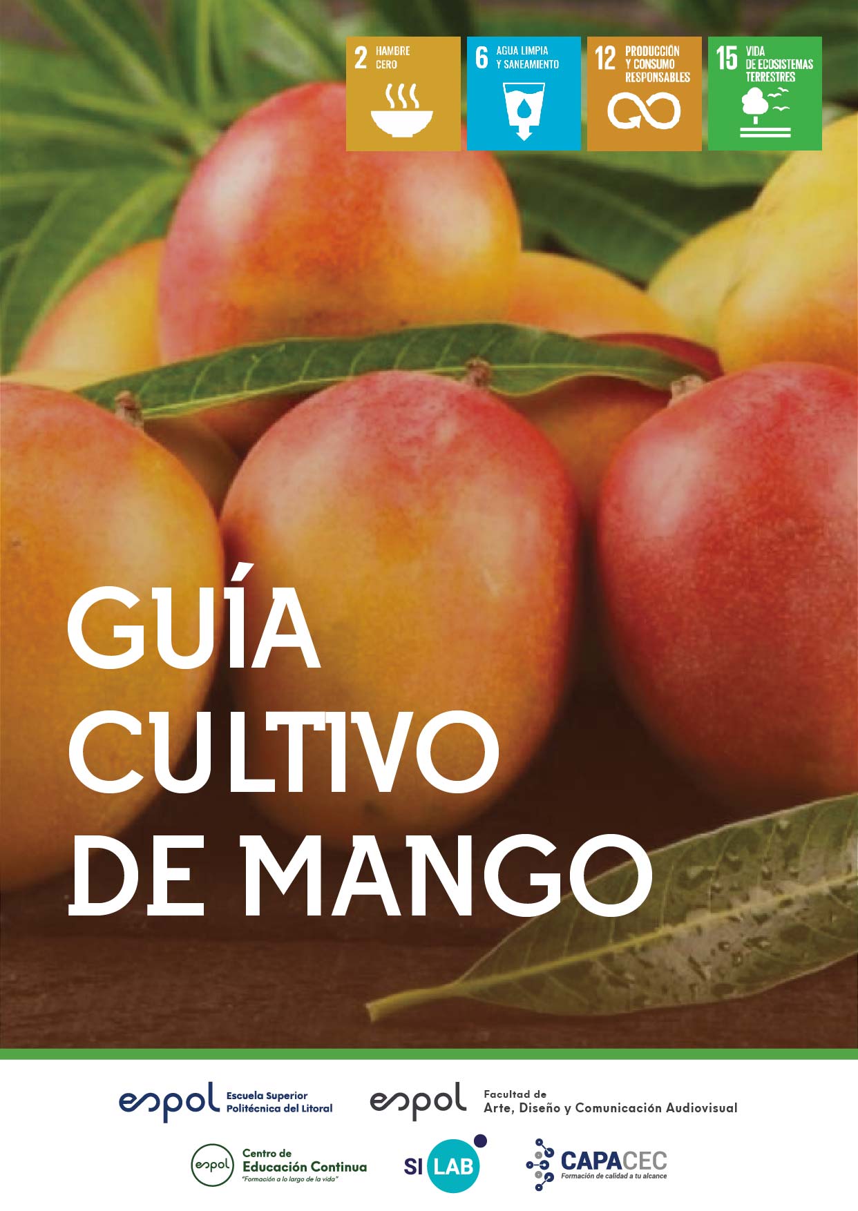 Guía de cultivo del mango Educación Continua