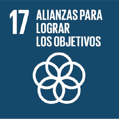 ODS Alianzas para lograr sus objetivos