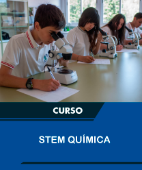 Stem quimica